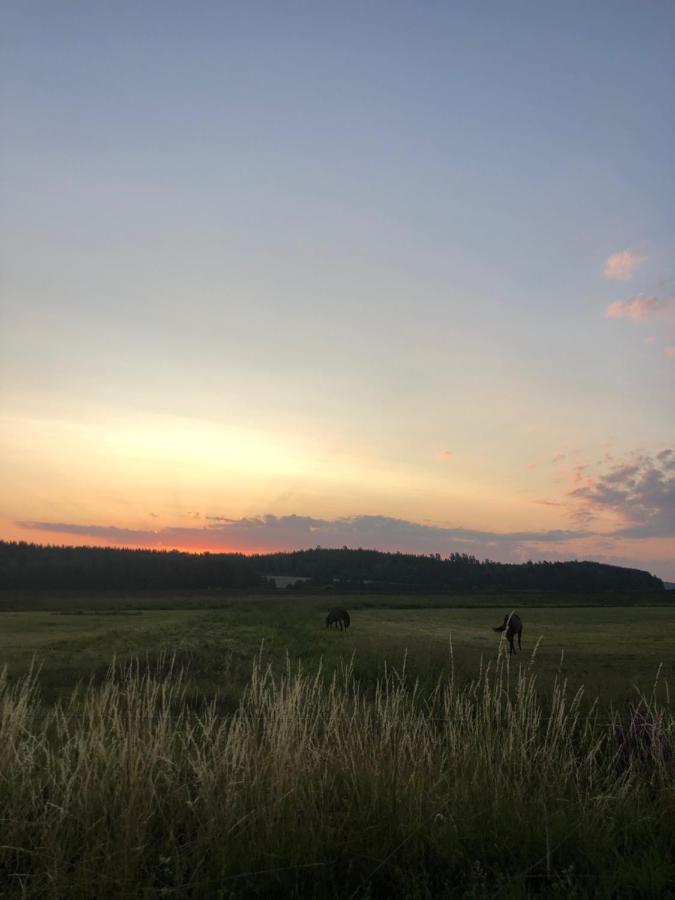 Runnvikens Pensionat Tystberga Buitenkant foto