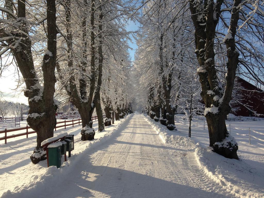 Runnvikens Pensionat Tystberga Buitenkant foto