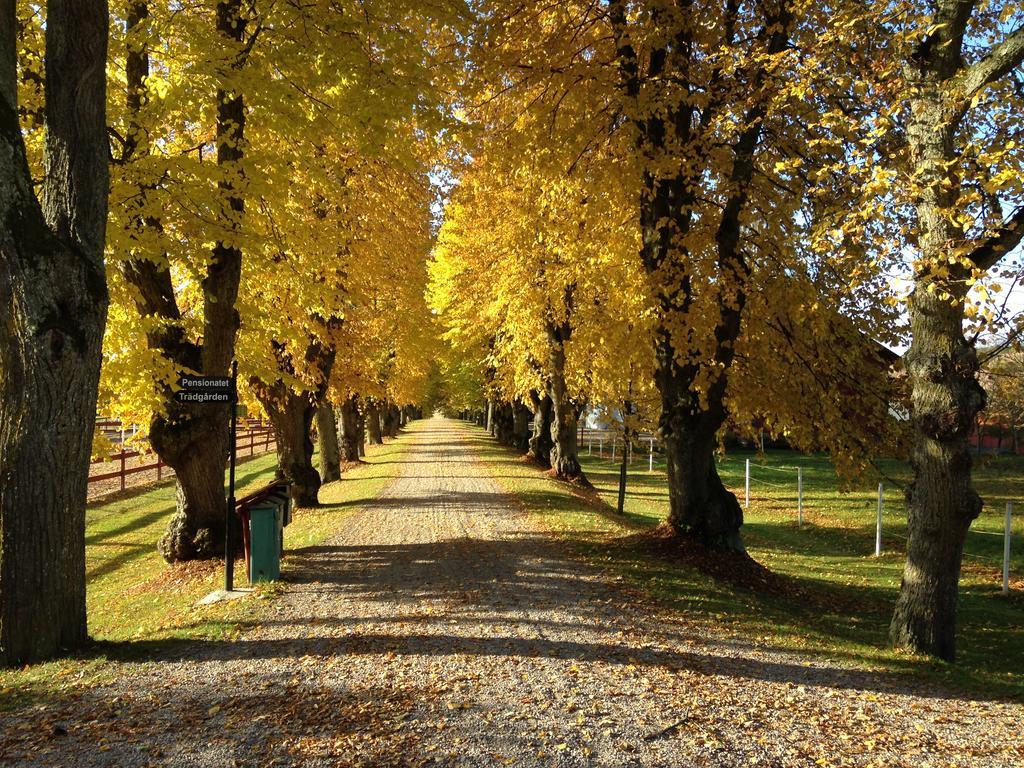 Runnvikens Pensionat Tystberga Buitenkant foto