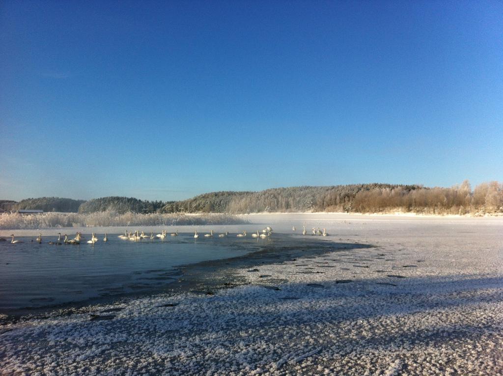 Runnvikens Pensionat Tystberga Buitenkant foto